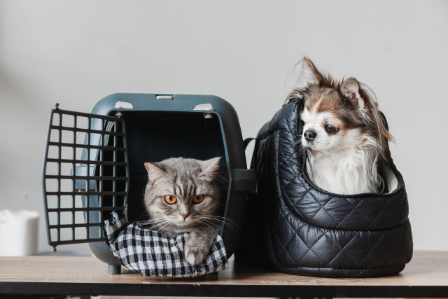 ペット関連サービス